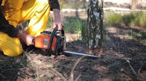 Best Lot and Land Clearing  in Santa Rosa, TX