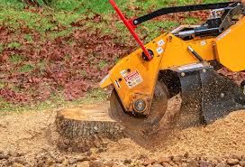 Best Lawn Drainage Solutions  in Santa Rosa, TX