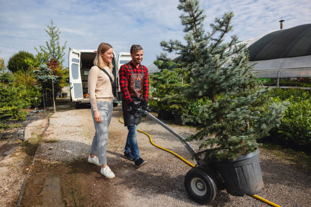 Santa Rosa, TX Tree Services Company